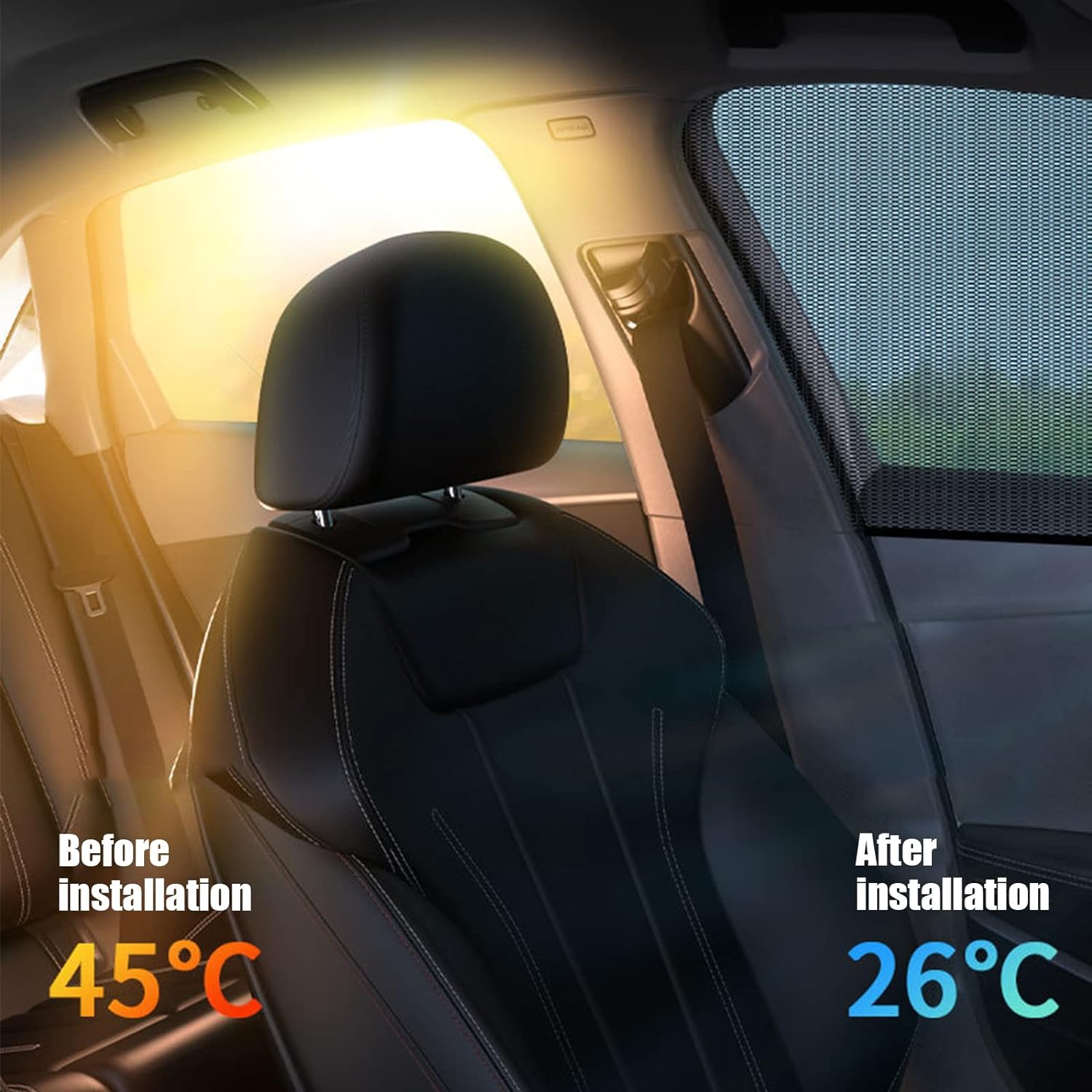 Front Window + Rear Window